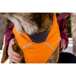 Ruffwear Quinzee™ Hundejacke Orange M -Hundebedarf Rabatte 001bdf29a34dffebf7840b4a759030f83c299732 1370013 de DE 17dd615b14a3a705025267b6458fddf099eb308bn8H5c2