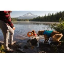 Ruffwear Hydro Plane™ Spielzeug M Orange 10 Ruffwear Hydro Plane™ Spielzeug M Orange -Hundebedarf Rabatte 006b8682fcf44b40a786d55bd2f1d1cf7f91a7a7 1364300 de DE b9c71d828876a94633bfda1055d03e137f81043ehPprdP