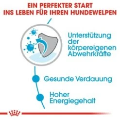 ROYAL CANIN Mini Puppy 12x85g -Hundebedarf Rabatte 0139aa756ebbdb17303bb24d05f22551b5717639 43c28f850f95a929626cad956e56a118b365a753