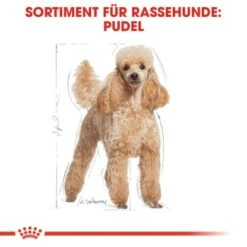 ROYAL CANIN Poodle Adult 7,5 Kg -Hundebedarf Rabatte 032b5ea6cfa49c42570652ccff0f17d6a9c5c3b3 041bf486a1c57468bdf7f77e34e32ac35b6d49d3