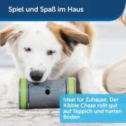 PetSafe Selbstbewegendes Belohnungsspielzeug Kibble Chase -Hundebedarf Rabatte 04ee16df08a1d0058720c3c24edae0b380a4f40b 1418726 de DE 98f77b1c14ebd5f386fc2520d6b8f5d2f621874avKV76L