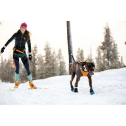 Ruffwear Cloud Chaser™ Hundejacke Schwarz XXS -Hundebedarf Rabatte 06cfa3a745821d84428a1de78da0089ce33c0271 1369623 de DE 87163fc3e147e303fdf97d4ab87fd720c4f34a96nSWmMF