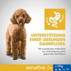 PERFECT FIT Sensitive Adult 6 Kg 15 PERFECT FIT Sensitive Adult 6 Kg -Hundebedarf Rabatte 0b37d2f602736a300ea14318882143088770b19d 1390283 de DE PerfectFit Sensitive SI1 F B