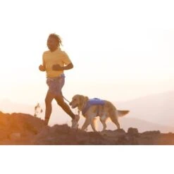 Ruffwear Trail Runner™ Weste Blau XS -Hundebedarf Rabatte 0b5b007ea11304fa0e12a2aa87d6cc6d6e6417b8 1639640 de DE dd2f81006cc91bb9a3794f38bc8a64c6efb41dd51MouDb