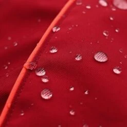 THE DOG IDEA Regenmantel Duke Rot XXXS -Hundebedarf Rabatte 0b96c2b346599e3bfc621cd46bc5222963a975ce 1487619 de DE 15918523d26ad94991e88a54ba0dbb6c1b769d88mq6M8P