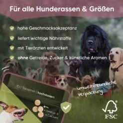 Pawlie's Gelenk Fit Tabletten Hund (100 Stück) 7 Pawlie's Gelenk Fit Tabletten Hund (100 Stück) -Hundebedarf Rabatte 13c2aa37a08da916b1cd8014d264ba1cb5e12204 1626201 de DE 016987b286bf5101f5ed2a1610825cada7f4cd39esKrs5