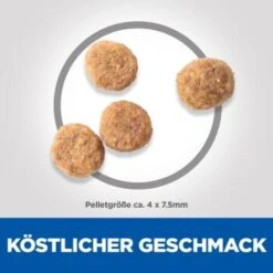 Hill's Science Plan Small & Miniature Adult 1+ Sensitives Stomach & Skin, Huhn 6 Kg 13 Hill's Science Plan Small & Miniature Adult 1+ Sensitives Stomach & Skin, Huhn 6 Kg -Hundebedarf Rabatte 153d32acfac9aafa2817a9b716298de8bdcf9a32 52742025414 6