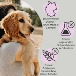 FAVLY Petfood FAVLY Probierpaket "Starter" -Hundebedarf Rabatte 157f4277f4fc2e8da8d7a229372118c7271db7ef 1475313 de DE 1599c09ca60134efdb65d5d73f221243ffcd3c9a0x3zzL