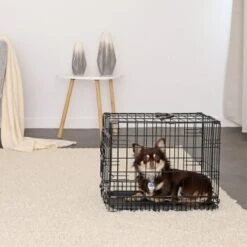 Lionto Hundetransportkäfig S 8 Lionto Hundetransportkäfig S -Hundebedarf Rabatte 16bf4a7bda8913bd8d6759c333b8462422c25930 1657954 de DE 88d7762950e447e6280dda9dcc577106888c533eyg5v9p