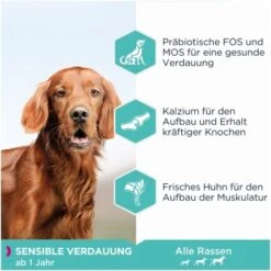 EUKANUBA Daily Care Sensible Verdauung 12 Kg -Hundebedarf Rabatte 1a7d954ffcf2645186347fe3a5210755c5368933 4414615294b74dc58e6a1119f8cd6be9a67be173