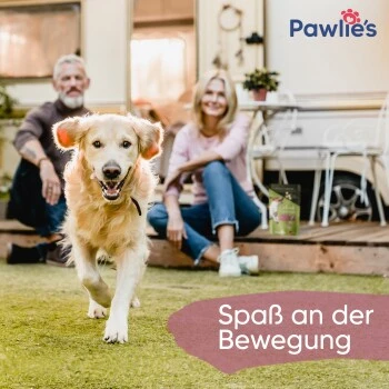 Pawlie's Gelenk Fit Tabletten Hund (100 Stück) 5 Pawlie's Gelenk Fit Tabletten Hund (100 Stück) – Bild 5