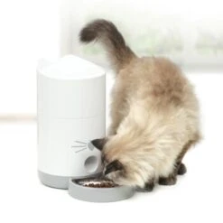 Catit Pixi Smart Futterautomat -Hundebedarf Rabatte 1ffeee179884642eea5a2e9de8131d7805514020 e5c666843aea1e8ddb7fde2d8de9aefc2995717e