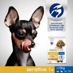 PERFECT FIT Sensitive Adult 6 Kg 11 PERFECT FIT Sensitive Adult 6 Kg -Hundebedarf Rabatte 2234af948424bf9bdfdb32882d630fd3414bfa40 1390283 de DE PerfectFit Sensitive SI7 Waltham 02