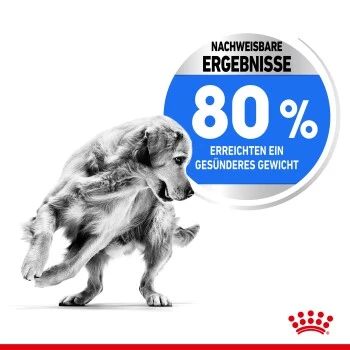ROYAL CANIN Light Weight Care Medium 12 Kg 5 ROYAL CANIN Light Weight Care Medium 12 Kg – Bild 5