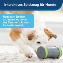 PetSafe Selbstbewegendes Belohnungsspielzeug Kibble Chase -Hundebedarf Rabatte 232030f86f814de36b46e922b9019b2a80aa0a4a 1418726 de DE cabfebb8ef64f9f8a7009d6c5080cb046558ff00b0jRo2
