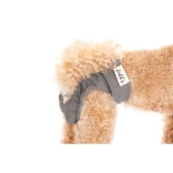 Lills Läufigkeitshöschen "Lou" Pink Berry Grau XXL -Hundebedarf Rabatte 2510182477e0473189522ab4c4eec9318a5ab186 1662393 de DE e81483ca839e45ba2b9fb54d71ddd02dbfa55b06LbZw0y