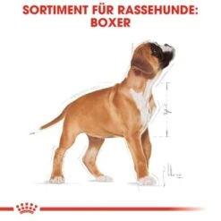ROYAL CANIN Boxer Puppy 12 Kg -Hundebedarf Rabatte 26b8108fe7f848d5514f54a6ebebe445e9749634 bc544cb1464daff2fcccab10e7c9f1ae73a4f2d1