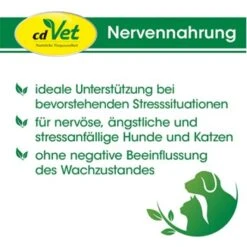 CdVet Nervennahrung 40 G -Hundebedarf Rabatte 27c422a62529ec73a6a1a64b256356ce07f3ed4d 1411661 de DE aad863975318ab450a74be43b9ae7102664c040fbSmJua