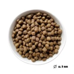 Eat Small EatSmall 2kg Mini Balance Trockenfutter -Hundebedarf Rabatte 2fab510faabbdb321240dcdc4e2325f2c9525161 1450725 de DE ef1a1257b12edf1ce0a516e027bab83024c70daeuHLglD
