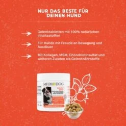 MediDog Gelenk Aktiv Tabletten -Hundebedarf Rabatte 3027f6efc117ea48bd3ed7820fc741377f2b9f33 1660400 de DE 429a291c7d912553ea91e08a9b8a26c9865c5c61kPI0zV