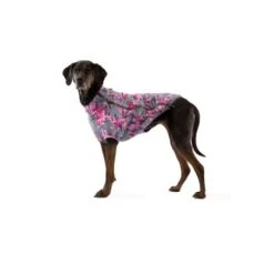 Ruffwear Climate Changer™ Fleece-Jacke Für Hunde Lila/ Grau XS -Hundebedarf Rabatte 31d08c48d82e56fa988a8efaad00ce115bf58a1e 1369648 de DE 0f7eaefedef9dc647cc2252d60c10845d7c68c4e58IpMU