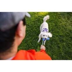 Ruffwear Gourdo™ Spielzeug S Grün -Hundebedarf Rabatte 340d5a3cda4bb7c7215d03f2d69aea1fb532027d 1639795 de DE dcb292407c796db89093f35e704145b6700aa2deFjWC0G