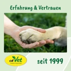 DentaVet Anti-Plaque -Hundebedarf Rabatte 356feb824db69191c49f52b9970e19a6f9218c13 1663012 de DE e43073e110954eac268906939bd9197d2b35bcfdgXvzbG