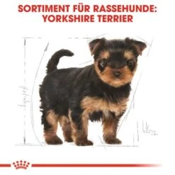 ROYAL CANIN Yorkshire Terrier Puppy 1,5 Kg -Hundebedarf Rabatte 3810ae0a6a04bd78bbca7a7651da4efb954d4b3e 3e3986d33b213064868087e6e9dec0e6991e12be