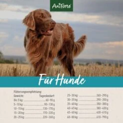 Aniforte Trockenfutter FjordSalmon - Frischer Lachs Mit Kartoffeln 2 Kg -Hundebedarf Rabatte 383b6026d8c591de87bb8923d66f895bfcaf5713 1497806 de DE 4f001e9313c518fb49faadc32e2dfafeddcc8038bQa4PN