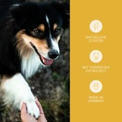 Mammaly Immu Push 110g 12 Mammaly Immu Push 110g -Hundebedarf Rabatte 38b7917670f59d2a88ff5d6635a04535121b1ee9 1472893 5