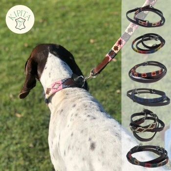 Kipita Polo Hundeleine Gentle 4 Kipita Polo Hundeleine Gentle – Bild 4