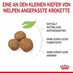 ROYAL CANIN Giant Puppy 15 Kg -Hundebedarf Rabatte 3cbb78f869a8097ac76583e8aff62d2c66e4991d 3182550707046 6