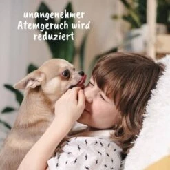 DentaVet Gel 25ml 8 DentaVet Gel 25ml -Hundebedarf Rabatte 3d907ec5674616c9e86440a8be785f9a2110275a 1667843 de DE d1fc59c1732a26ecfdb5efbb70158acd6ac06117LB92m4