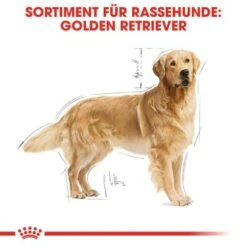 ROYAL CANIN Golden Retriever Adult 12 Kg 10 ROYAL CANIN Golden Retriever Adult 12 Kg -Hundebedarf Rabatte 3f6d567572cfb1e47a6150727d5c2bca6786edbc 449b3ff968c54d107edb2d725c3518ba098a60bf