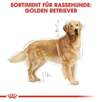 ROYAL CANIN Golden Retriever Adult 12 Kg 5 ROYAL CANIN Golden Retriever Adult 12 Kg – Bild 5