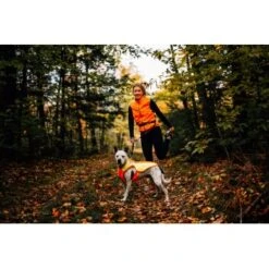 Ruffwear Lumenglow™ High-Vis Hundejacke Orange XL -Hundebedarf Rabatte 40663366cb362acd2f222531a6c489c5dd028940 1378153 de DE 6ea16c8681e07ff1404b1bde8c0b1b4ddb6fa478XOeqLy
