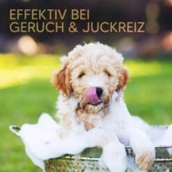 Pawlie's Welpenshampoo -Hundebedarf Rabatte 42f9c58257fb2002e5c33c2d81bd829c9adeb1cc 1626204 de DE 8b17d3990cf88ea437c76c60b6848183bc9636a5a44ihJ