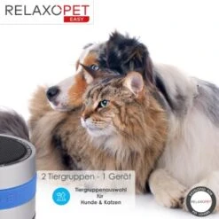 RelaxoPet EASY Tierentspannungs-Trainer Für Hunde Und Katzen -Hundebedarf Rabatte 4476be157af12df554867b6e93f144b9ceb36a4a 1396143 de DE d434b17460c4f49edf8862d0c0ea4bbeca4221e3ODM7na