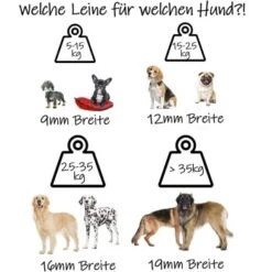 Bio-leine 40-50cm HU Biothane Halsband Dunkelbraun 24 Cm, 33 Cm -Hundebedarf Rabatte 44934045bc1c56594ea93895d0321a3f47985ce2 1655282 de DE 9e86c715e549a5f350fc133f6a3d246a11c429beoKVYwq