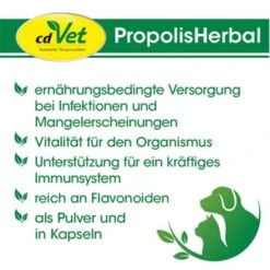 CdVet PropolisHerbal 20g 20 G 5 CdVet PropolisHerbal 20g 20 G -Hundebedarf Rabatte 4a7efe6ef39282013962edb4cdfff7ab064f50b7 1410702 de DE 9b563d2bb5da29720c09af2146e96e196b550558zVf5j7
