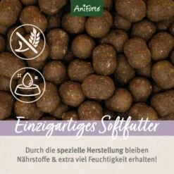Aniforte Trockenfutter FarmsFamb - Herzhaftes Lamm Mit Süsskartoffeln 2 Kg -Hundebedarf Rabatte 4e3c35ffc0c054c4102b5accf282c65c1c508436 1500901 de DE c29ca4f47e2e982a347e331207c83ffa3c2740f8Zf6Mhc