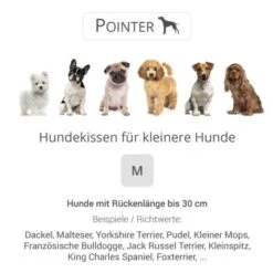 Pointer Liegekissen Urban Anthrazit M -Hundebedarf Rabatte 502aeef21c2250758631d62fea8e14cfcce727cd d0b64f8d293f427defce0ae979b315b741ab9e51