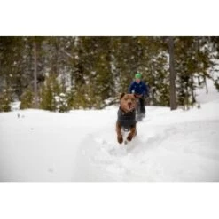 Ruffwear Climate Changer™ Fleece-Pullover Für Hunde Rot S 11 Ruffwear Climate Changer™ Fleece-Pullover Für Hunde Rot S -Hundebedarf Rabatte 535cabacaeabf49aa3494b71adfef12f9eebb3a3 1369661 de DE 7a5c8e78f67f43ebb4ef19e792a83af13c77436dTtVXa2