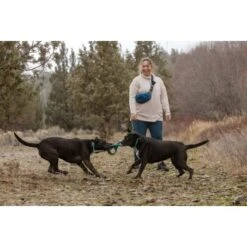 Ruffwear Pacific Ring™ Spielzeug Blau/ Türkis -Hundebedarf Rabatte 55dba30b9a5e3fc77d29bb72e0dc6fad83c40ffc 1444351 de DE 8a3b2d989e7fae2c85eabfcfca3bb7709484f9a3jKDH9l