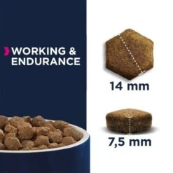 EUKANUBA Premium Working & Endurance Huhn 15kg -Hundebedarf Rabatte 561bd2ed5b1aa8fde3484e798b30237a67cf0251 265c47980388053b3be61f907504206a685e2e46