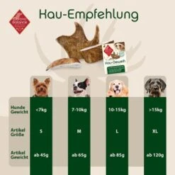 ChronoBalance Kaugeweih Damhirsch (M) 2er Paket -Hundebedarf Rabatte 57acc83555b5acdda0b097484c97cdc1d684de42 1418696 de DE 9d0fae21483906190d35a659049e257a0043b15eNTLJzl