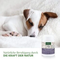 Aniforte Calm & Relax Kräuter 100g 6 Aniforte Calm & Relax Kräuter 100g -Hundebedarf Rabatte 59d8edf488dbbfa5326d02c9bc480ebe764b40aa 1477975 de DE 8fdc0dbb13dd77bc918a019d832ea481c7670a35vrdXJ1