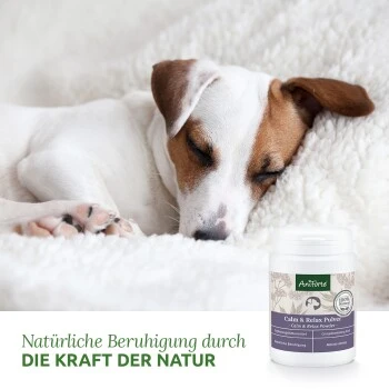 Aniforte Calm & Relax Kräuter 100g 3 Aniforte Calm & Relax Kräuter 100g – Bild 3