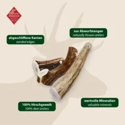 ChronoBalance Geweih Ganz (S) 2er Paket 11 ChronoBalance Geweih Ganz (S) 2er Paket -Hundebedarf Rabatte 5de89258b4b0ec3c6e18d2fb03615decfb7298ea 1418690 de DE 97f6faa2e066481717c6e9970bb381a3824303b82EeAsK