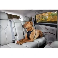 Kurgo Sicherheitsgeschirr XS 9 Kurgo Sicherheitsgeschirr XS -Hundebedarf Rabatte 619516b10b1c8b18d6ea7d46179dd9d07183e503 a6b01c753702cf19a2c027a527b9c62fcb6429b2